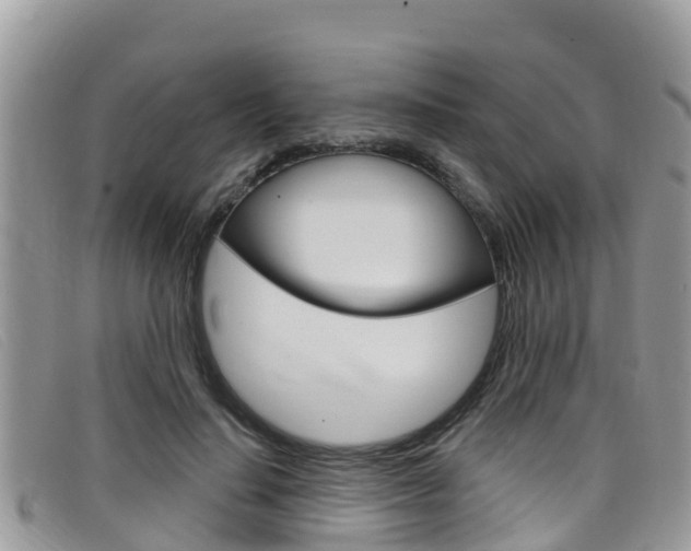 X0000099440644200805090749