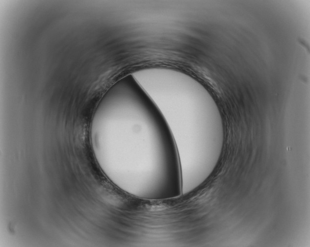X0000099440645200805090749