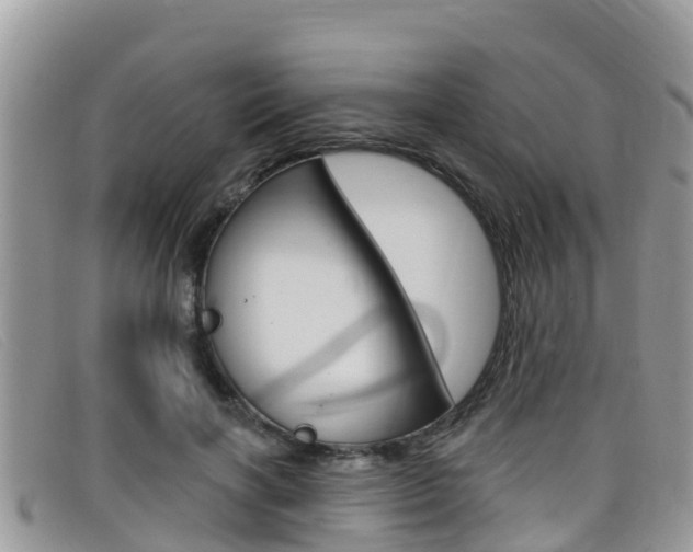 X0000099440646200805090749