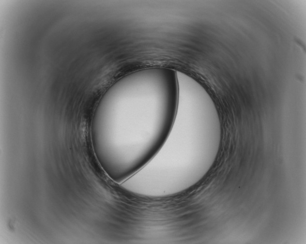 X0000099440647200805090749