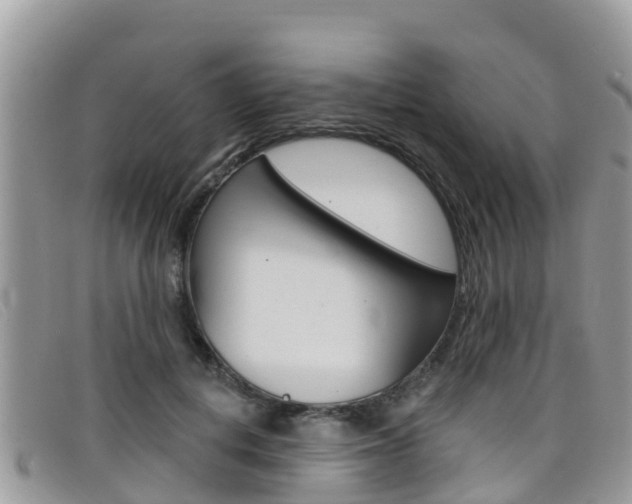 X0000099440648200805090749