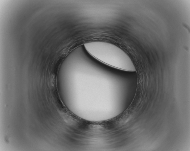 X0000099440649200805090749