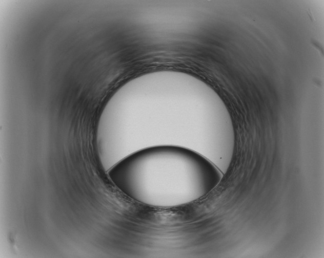 X0000099440650200805090749