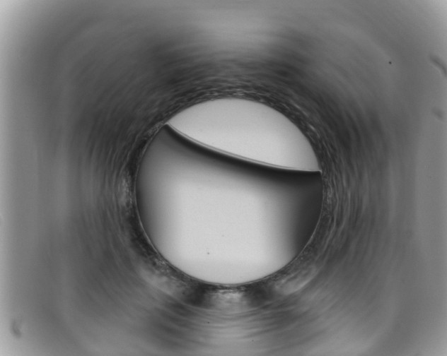 X0000099440651200805090749