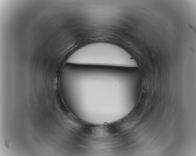 X0000099440652200805090749