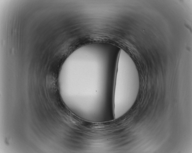 X0000099440653200805090749