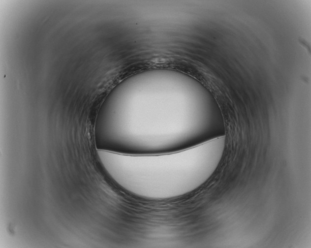 X0000099440654200805090749