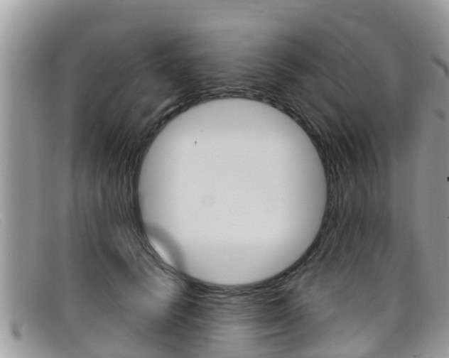 X0000099440656200805090749