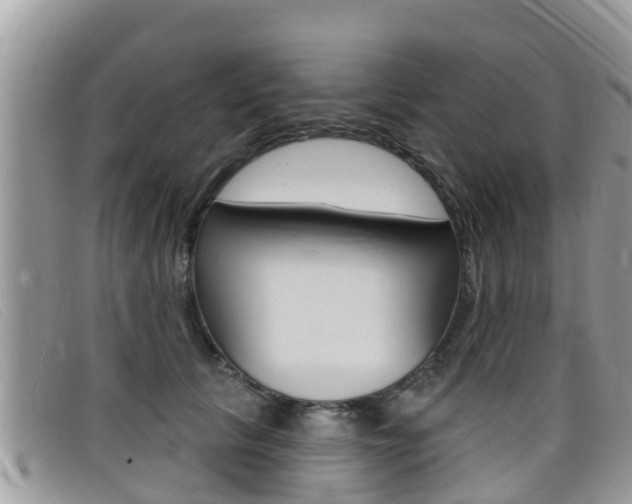 X0000099440657200805090749