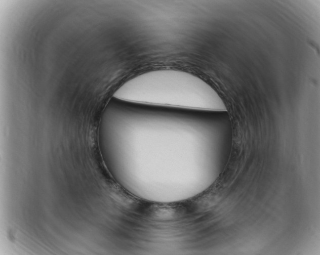 X0000099440658200805090749