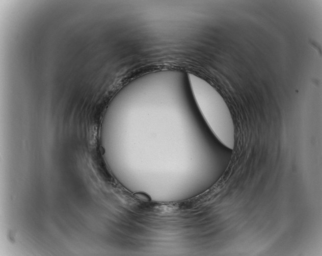 X0000099440660200805090749