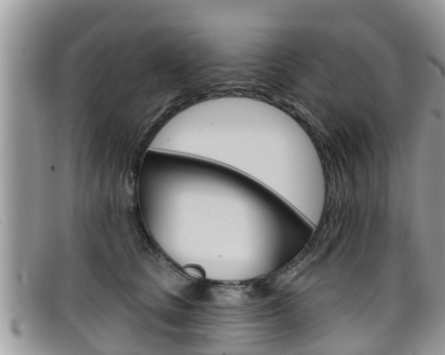 X0000099440661200805090749