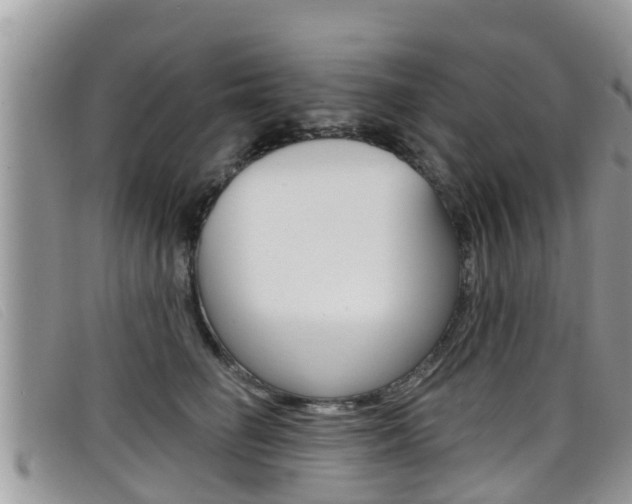 X0000099440662200805090749