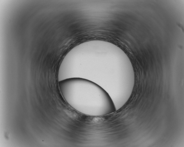 X0000099440663200805090749