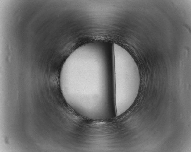 X0000099440665200805090749