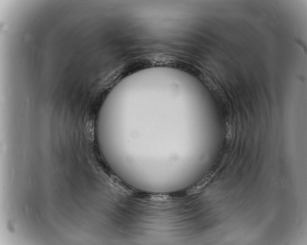 X0000099440666200805090749