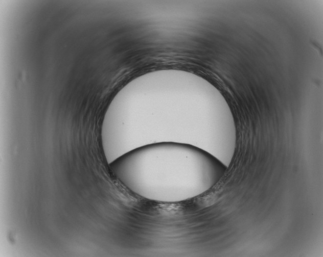 X0000099440667200805090749