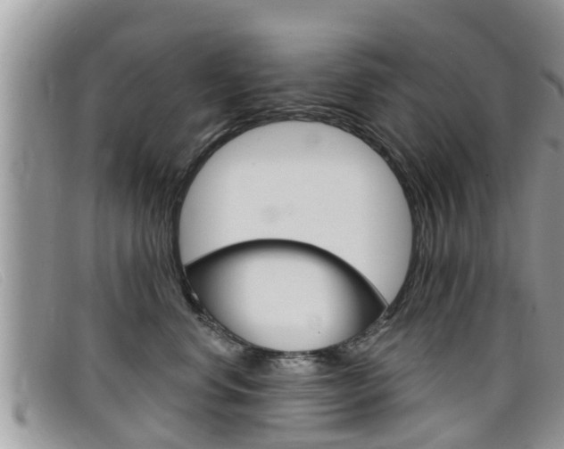 X0000099440668200805090749