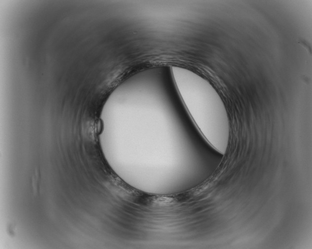 X0000099440669200805090749