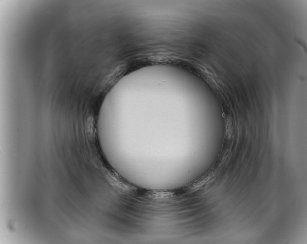 X0000099440670200805090749