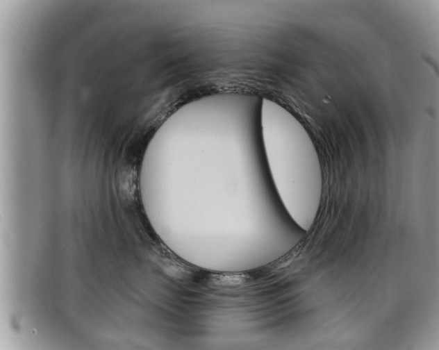 X0000099440671200805090749