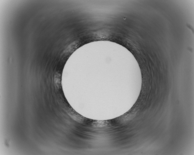 X0000099440672200805090749