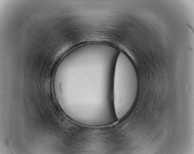 X0000099440675200805090748