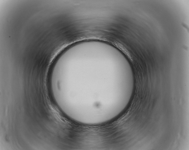 X0000099440676200805090748