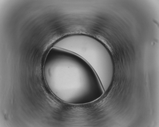 X0000099440677200805090748