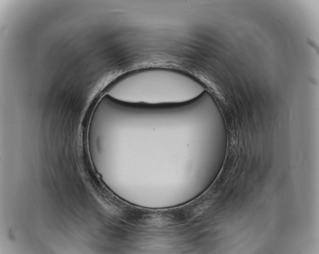 X0000099440678200805090748