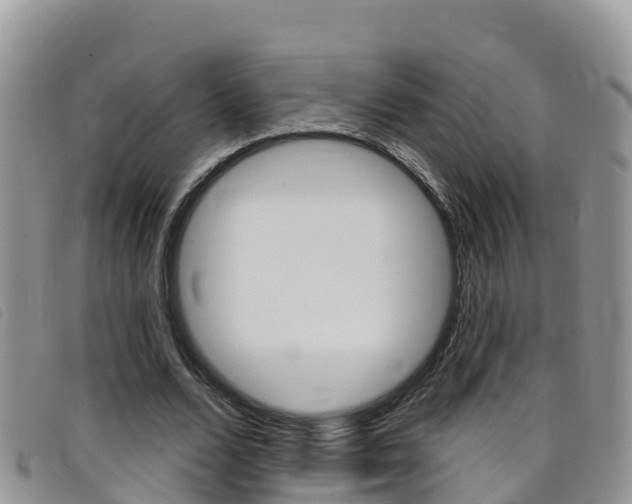 X0000099440680200805090748