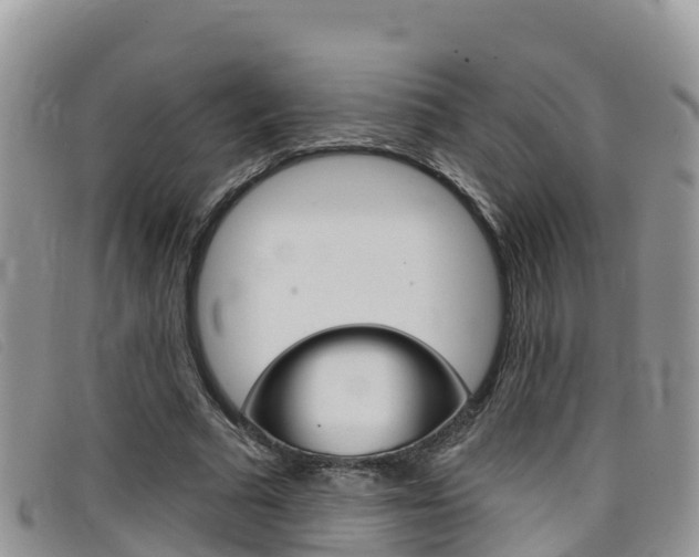 X0000099440681200805090748