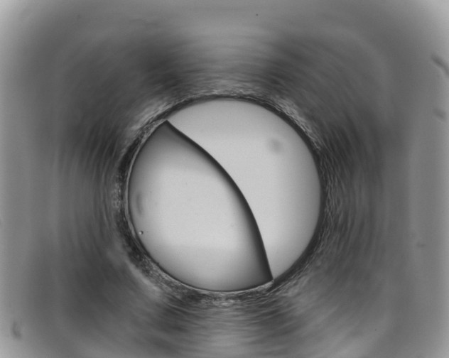 X0000099440683200805090748