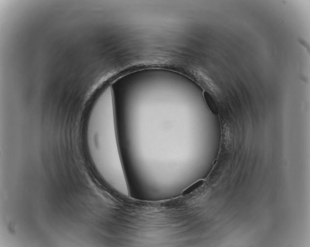 X0000099440684200805090748