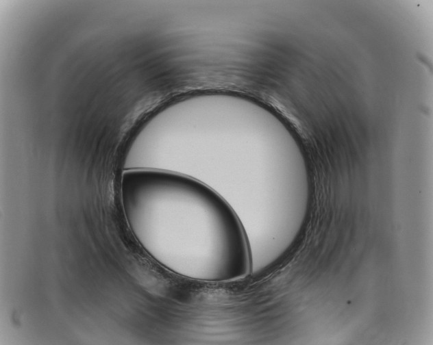 X0000099440685200805090748