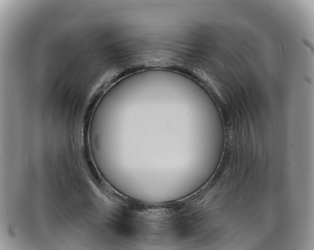 X0000099440686200805090748