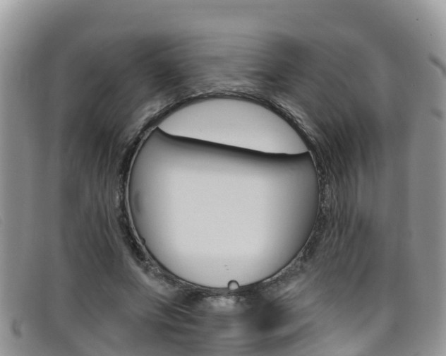 X0000099440687200805090748