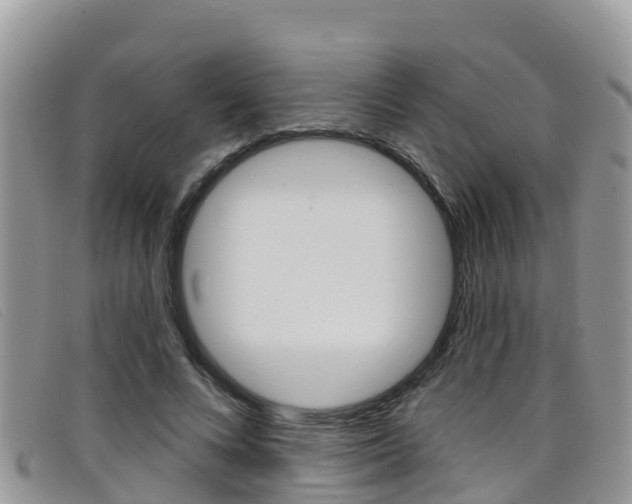 X0000099440688200805090748