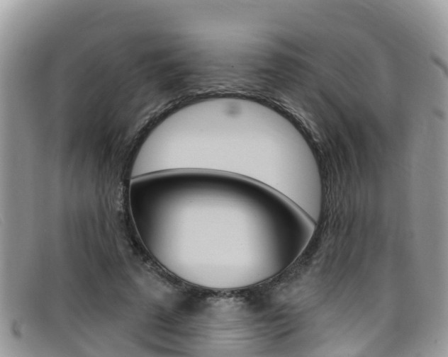 X0000099440689200805090748