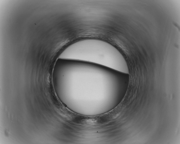 X0000099440692200805090748