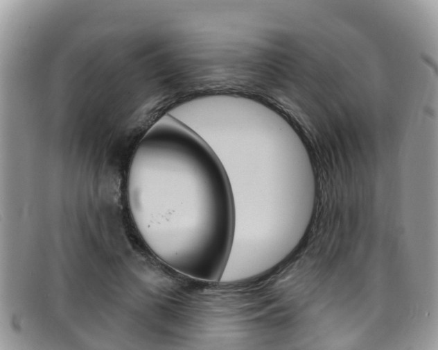 X0000099440693200805090748