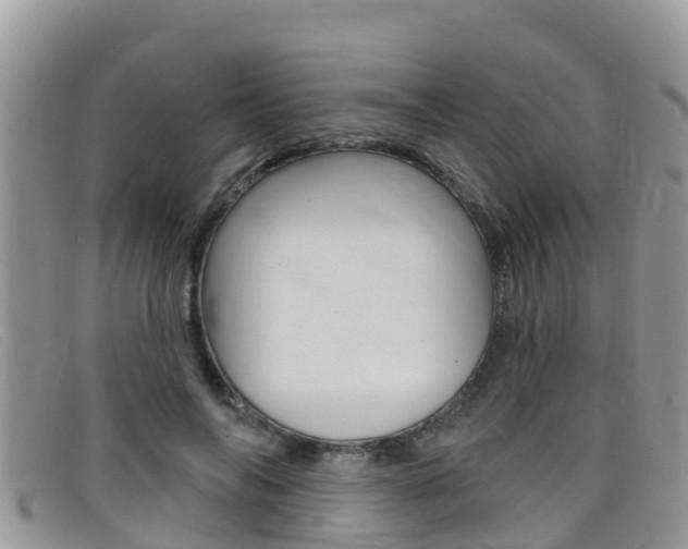 X0000099440694200805090748
