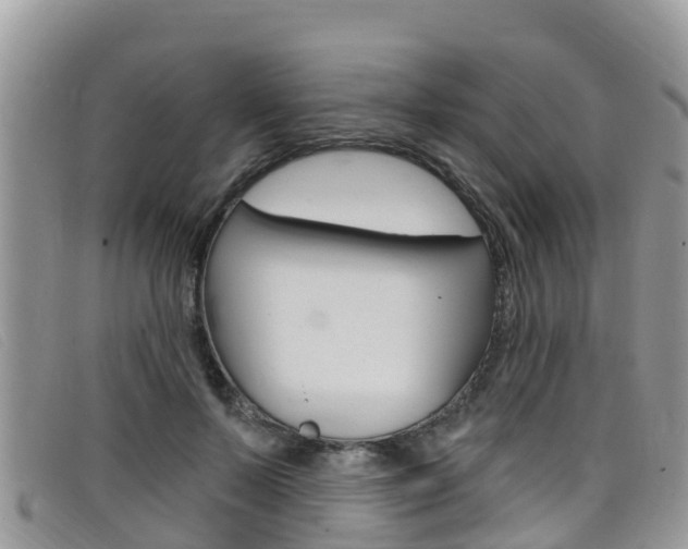X0000099440695200805090748
