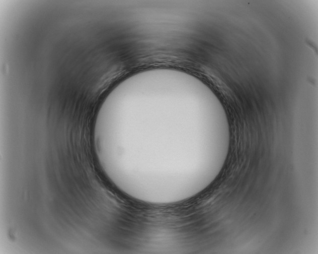 X0000099440696200805090748