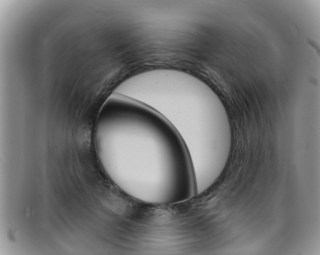 X0000099440697200805090748