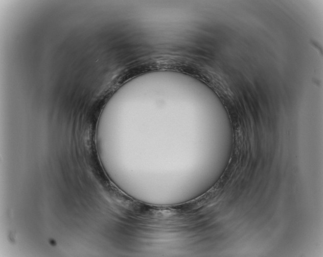 X0000099440698200805090748