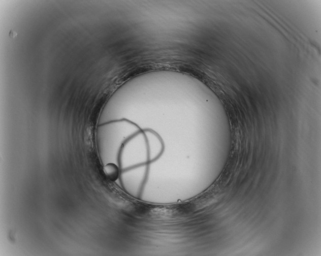 X0000099440699200805090748