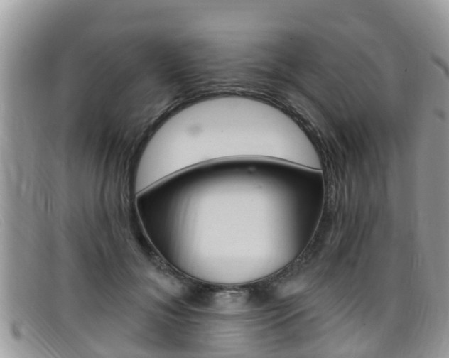 X0000099440700200805090748