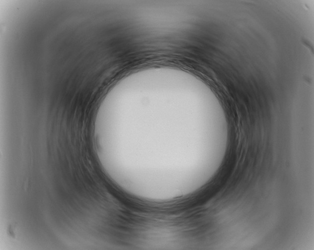 X0000099440701200805090748
