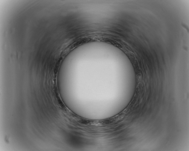 X0000099440702200805090748